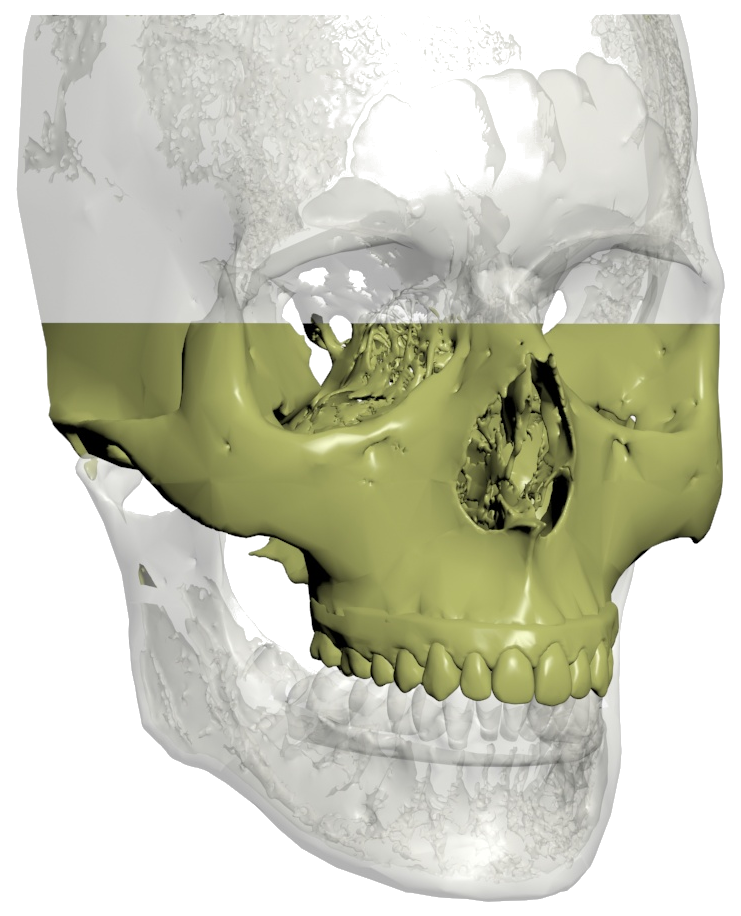 Tooltip Icon