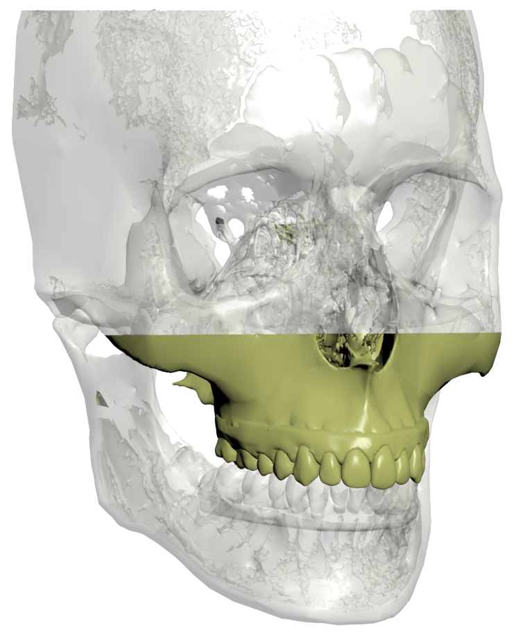 Tooltip Icon